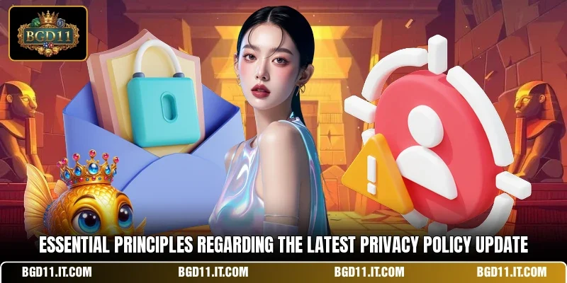Essential principles regarding the latest privacy policy update