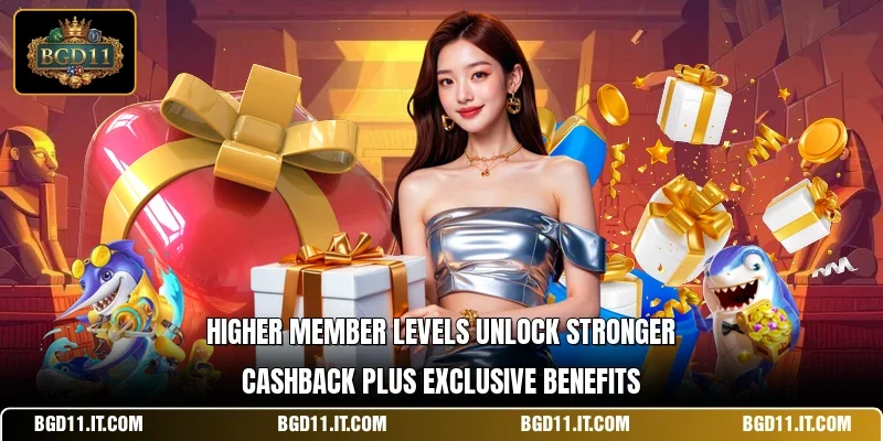 Higher member levels unlock stronger cashback plus exclusive benefits
