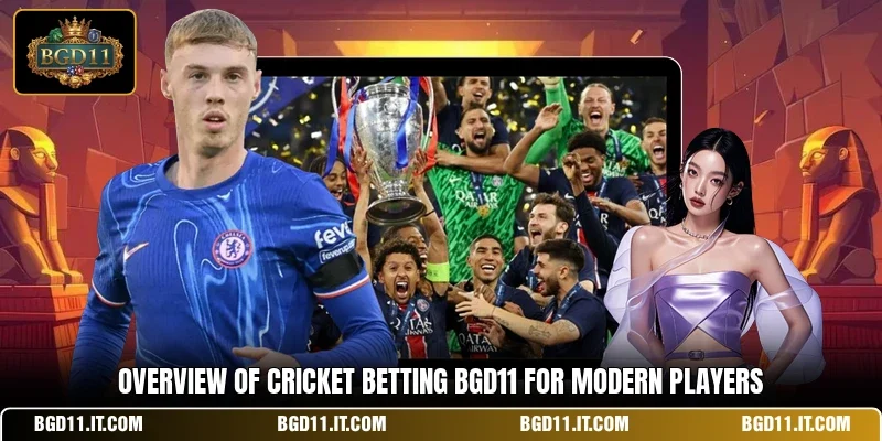 Overview of cricket betting BGD11 for modern players