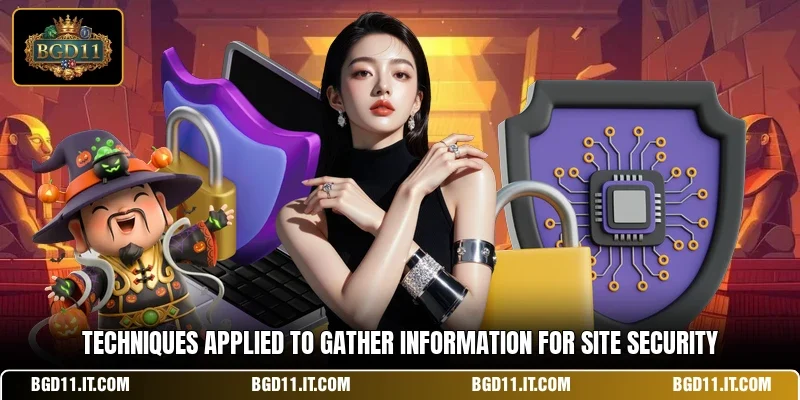 Techniques applied to gather information for site security