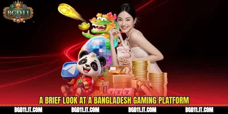 A Brief Look At A Bangladesh Gaming Platform 